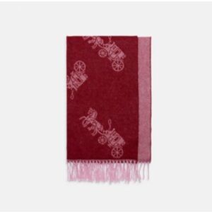 Coach Burgundy and Light Pink Scarf with Fringe